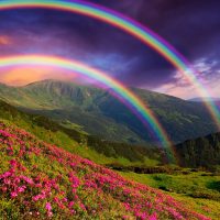 1 июня - День радуги
